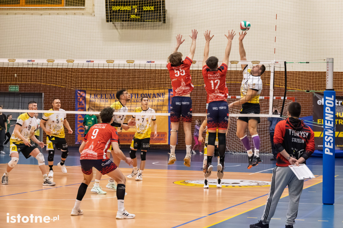 Mecz BTS Willowa Bolesławiec – UKS Tygrysy Strzelin