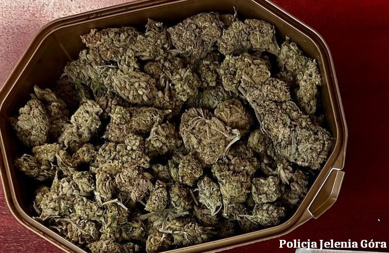 Podejrzany i narkotyki