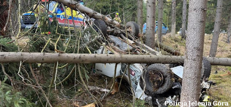 Wpadł w poślizg, ściął dwa drzewa i dachował