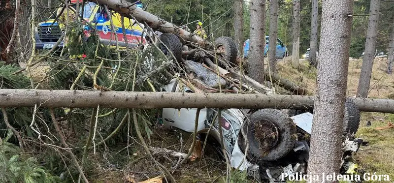 He skidded, cut down two trees and rolled over