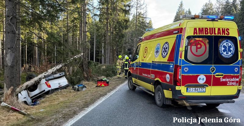 Wpadł w poślizg, ściął dwa drzewa i dachował