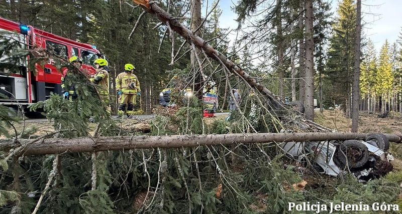 Wpadł w poślizg, ściął dwa drzewa i dachował