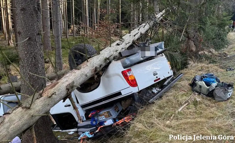 He skidded, cut down two trees and rolled over