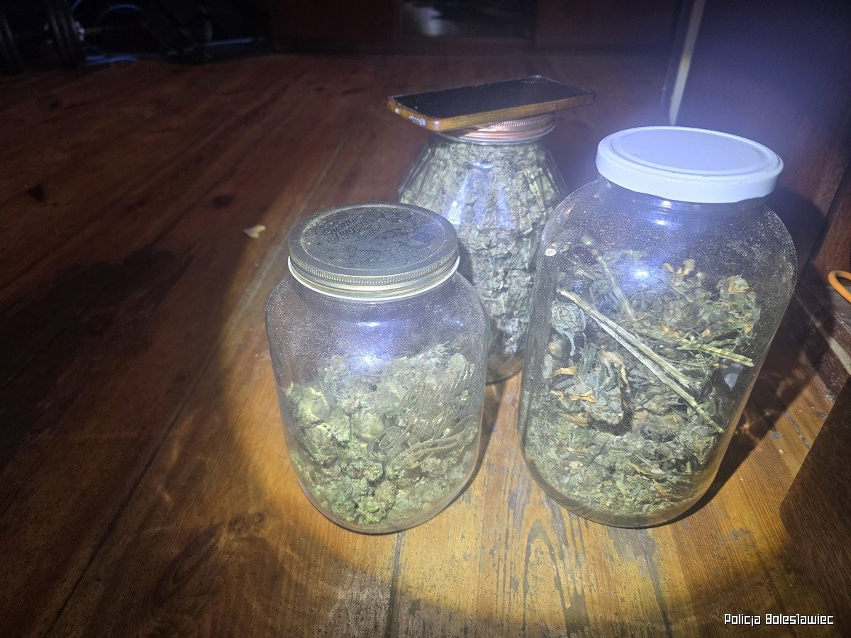 Przechwycona marihuana