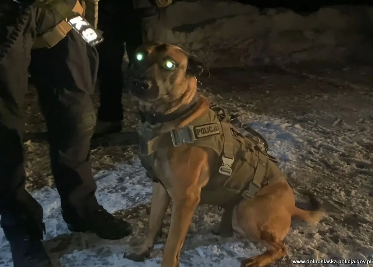 Materiały policji