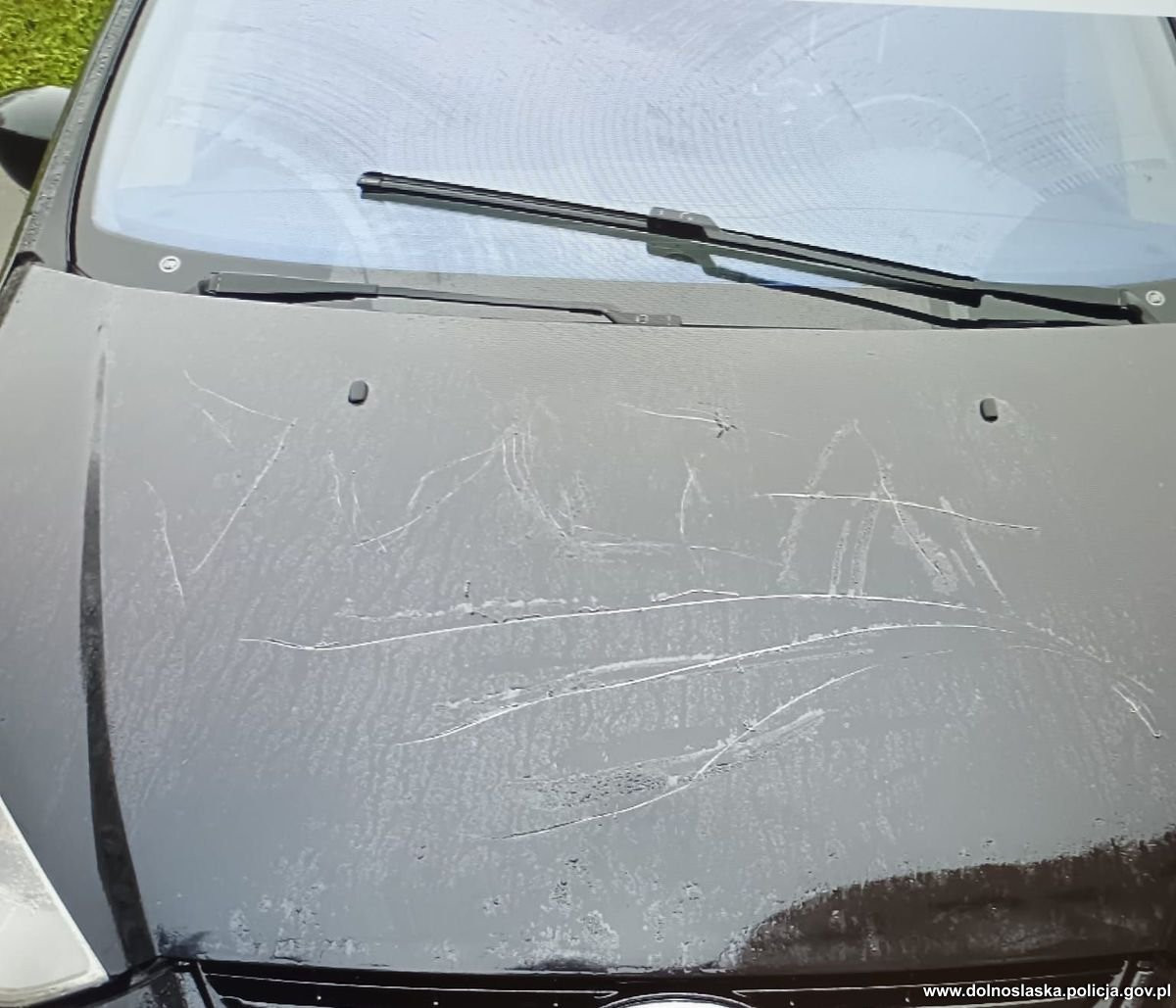 Podejrzana i jej „dzieła”