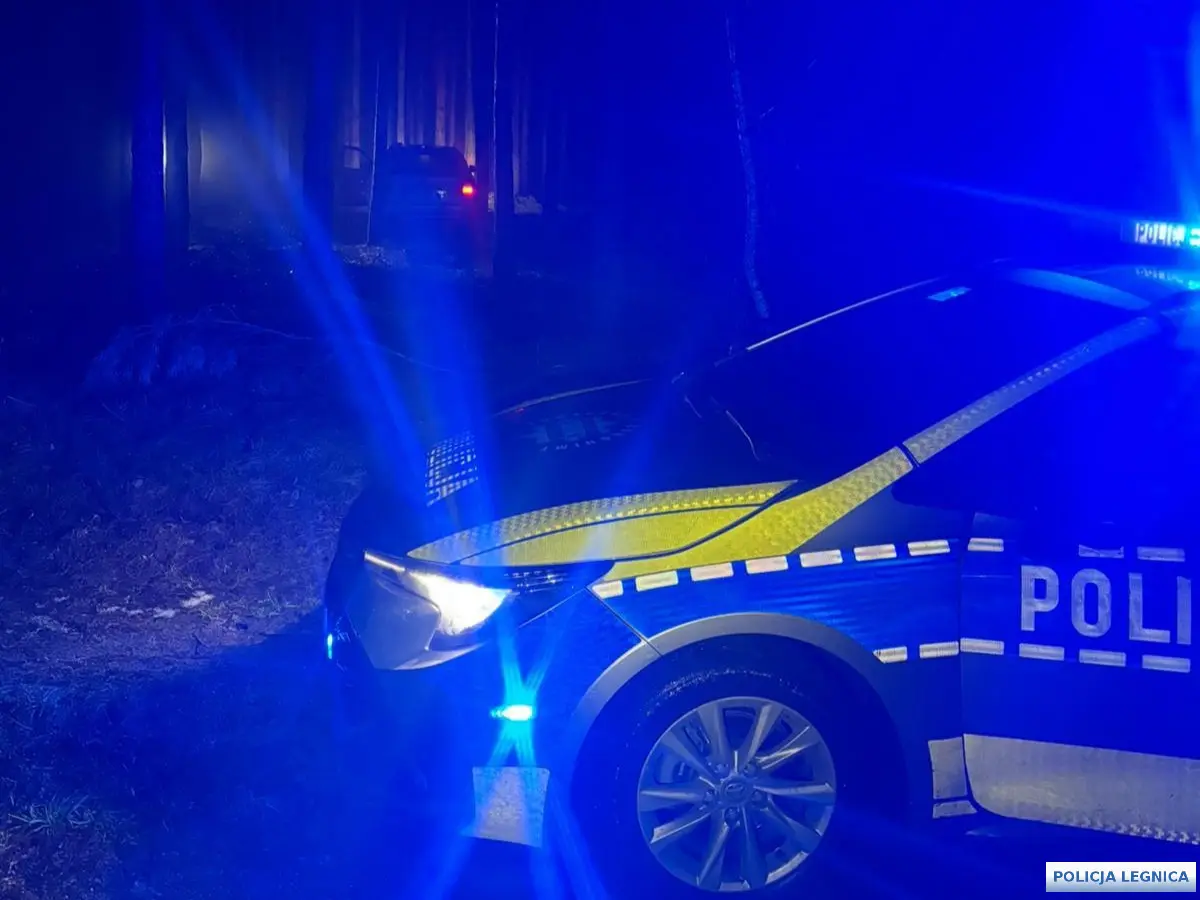 Підозрюваний і автомобіль