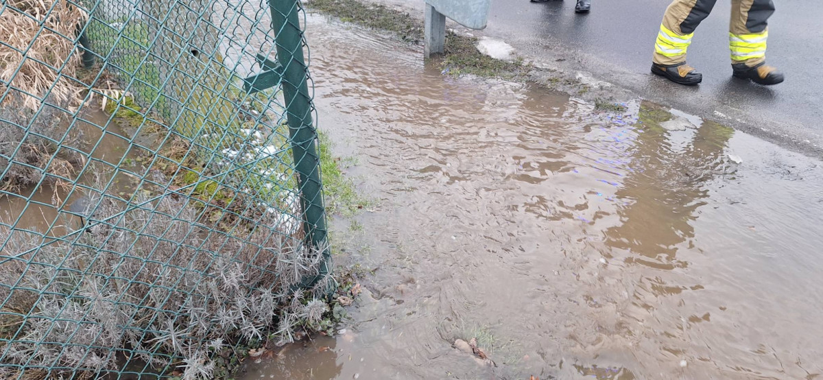 Akcja strażaków w miejscowości Różyniec