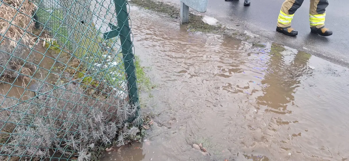 Akcja strażaków w miejscowości Różyniec