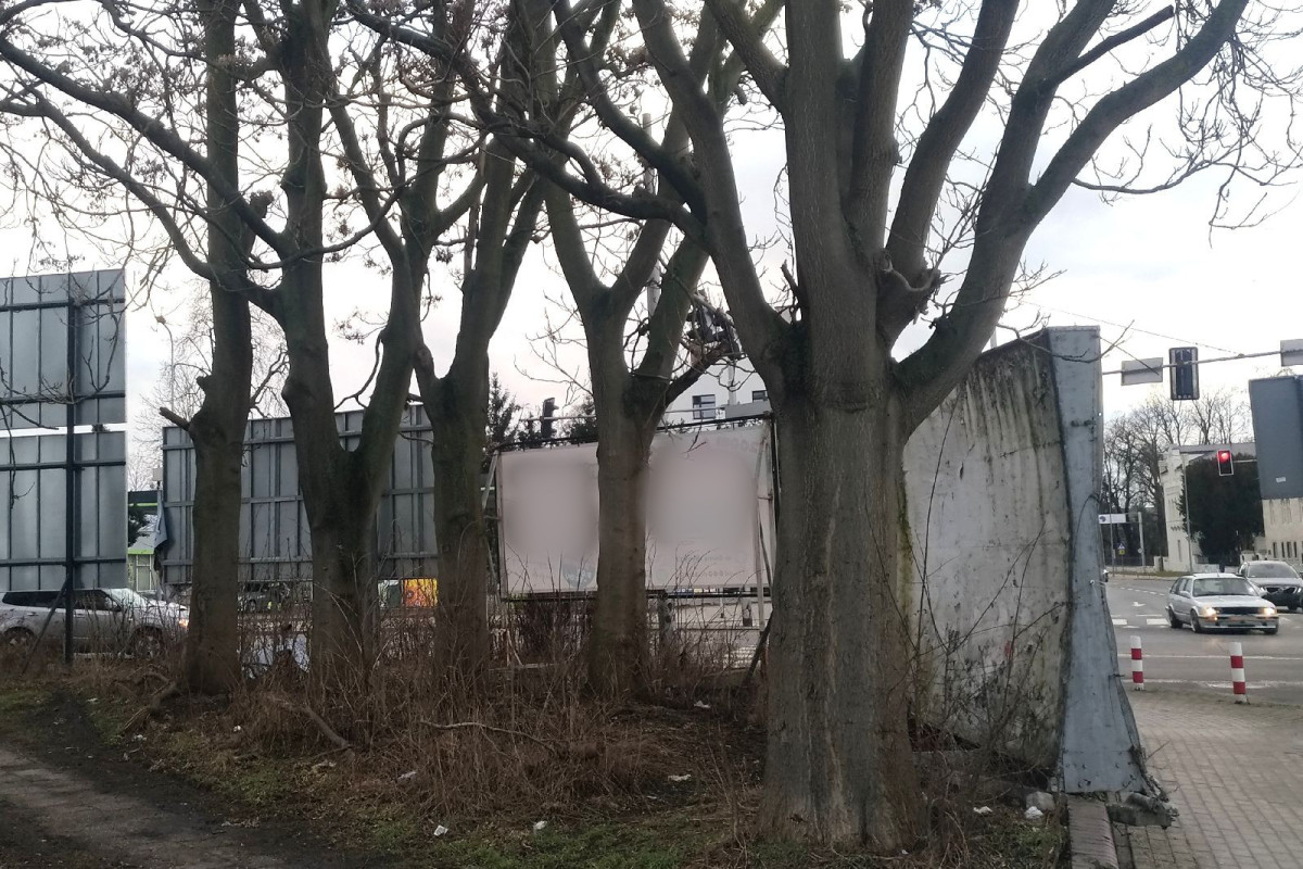 Sytuacja przy wjeździe do Bolesławca