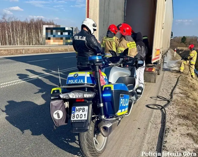 Akcja służb w Jeleniej Górze