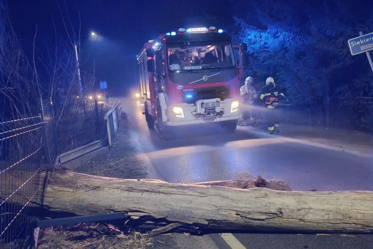 Akcja strażaków w Gromadce