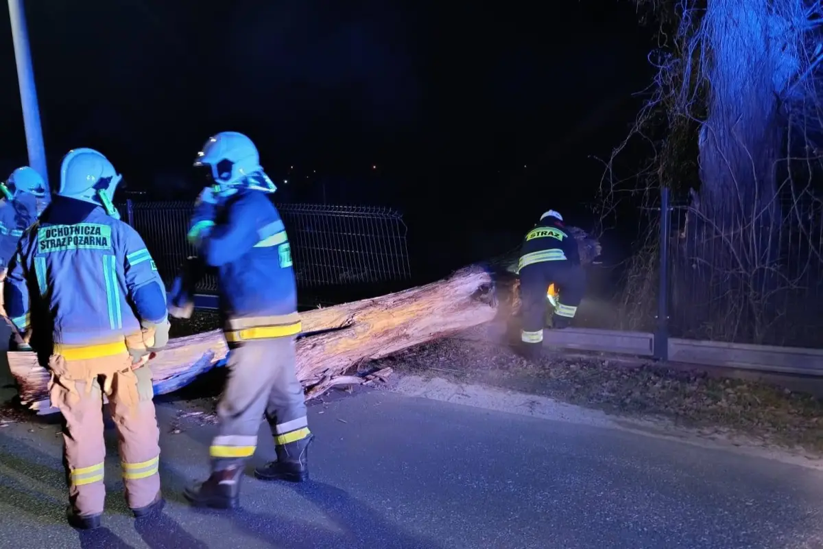 Akcja strażaków w Gromadce