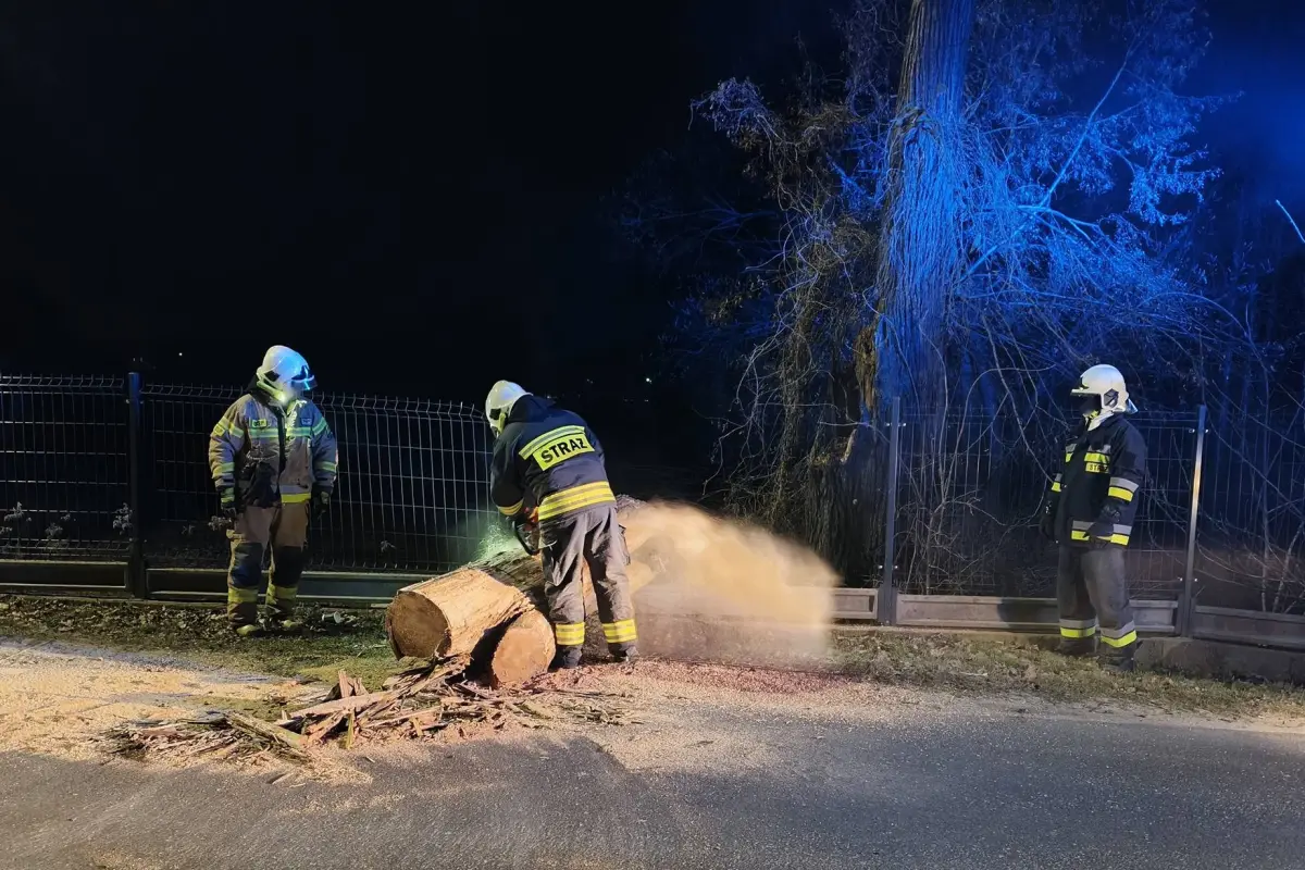Akcja strażaków w Gromadce