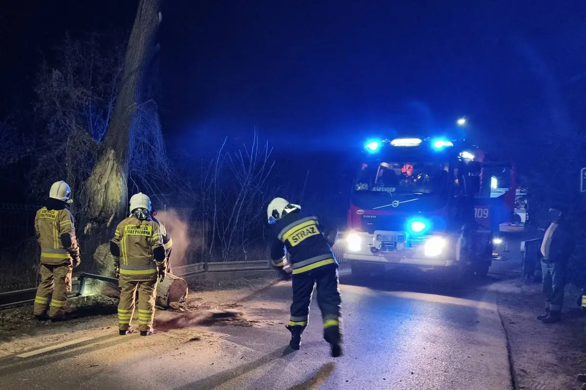 Akcja strażaków w Gromadce
