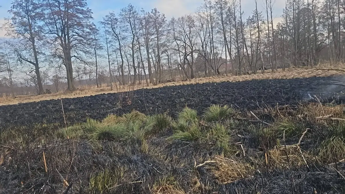 Pożar w miejscowości Modła