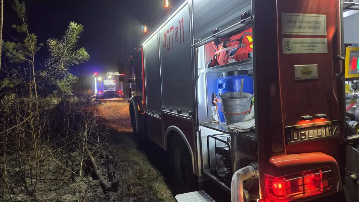 Nocny pożar między Bolesławcem a Mierzwinem