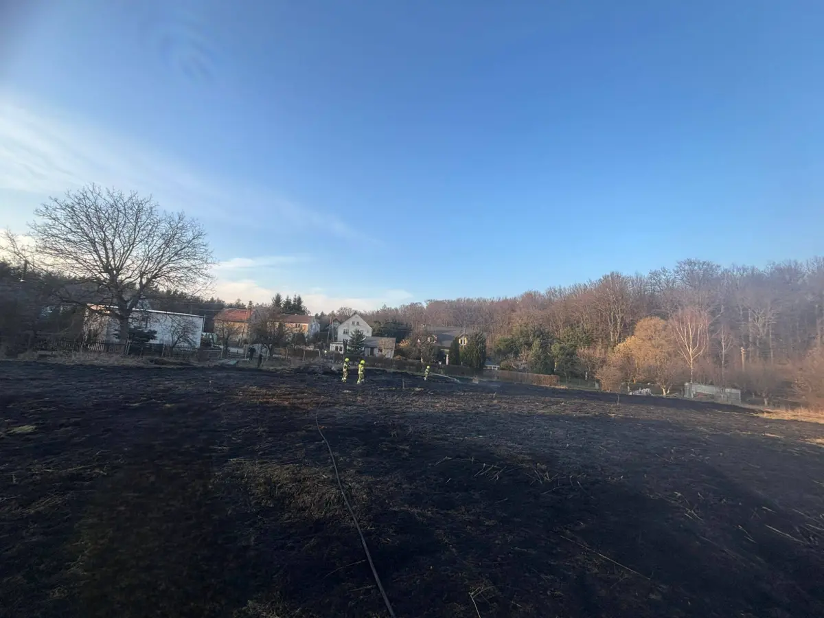 Pożar w Wartowicach