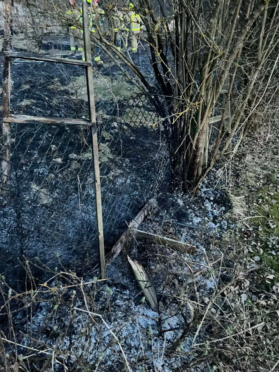 Poniedziałkowe interwencje OSP Warta Bolesławiecka