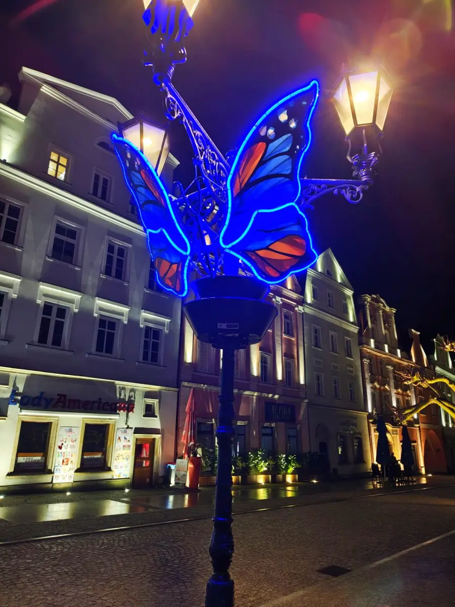 Motyl - dekoracja na bolesławieckim rynku