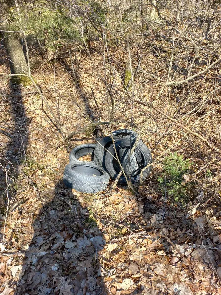 Dzikie wysypisko w Bolesławcu