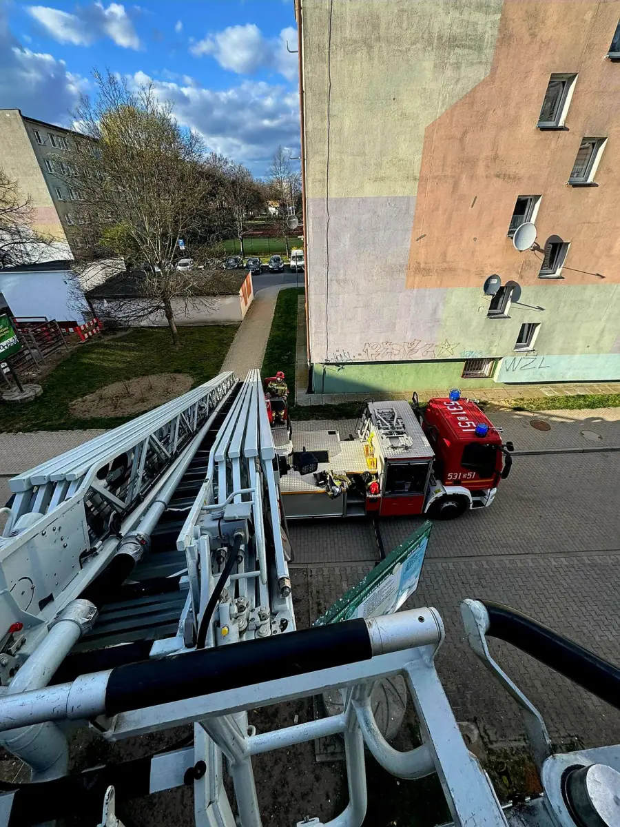 Strażacy uratowali gołębia w Polkowicach