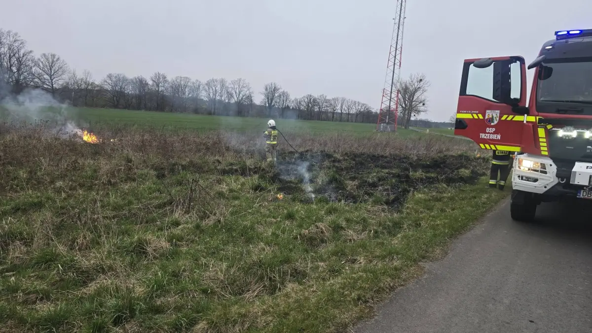Weekendowe pożary w gminie Bolesławiec