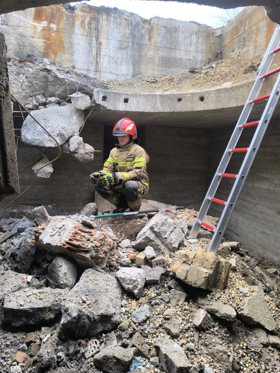 Akcja ratowania jelonka