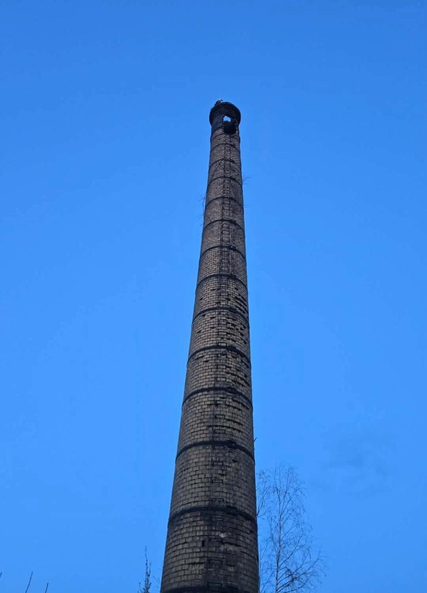 Akcja strażaków w Pobiednej