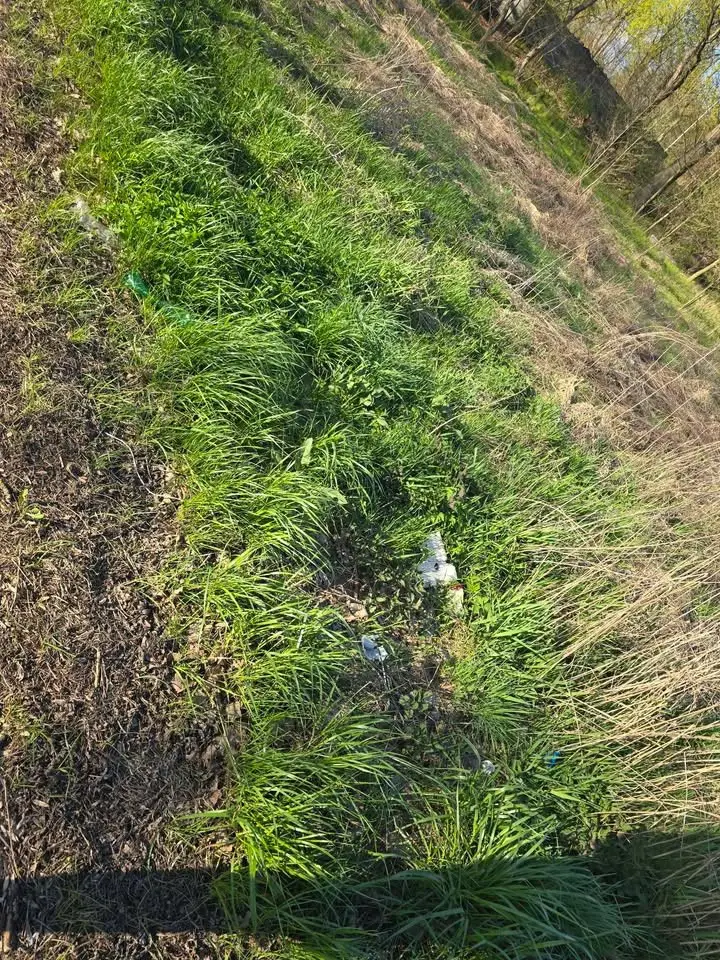 The path between Bolesławiec and Łąka
