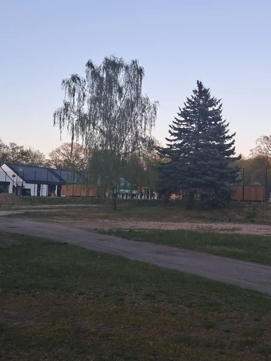 Drzewa przy nowych basenach