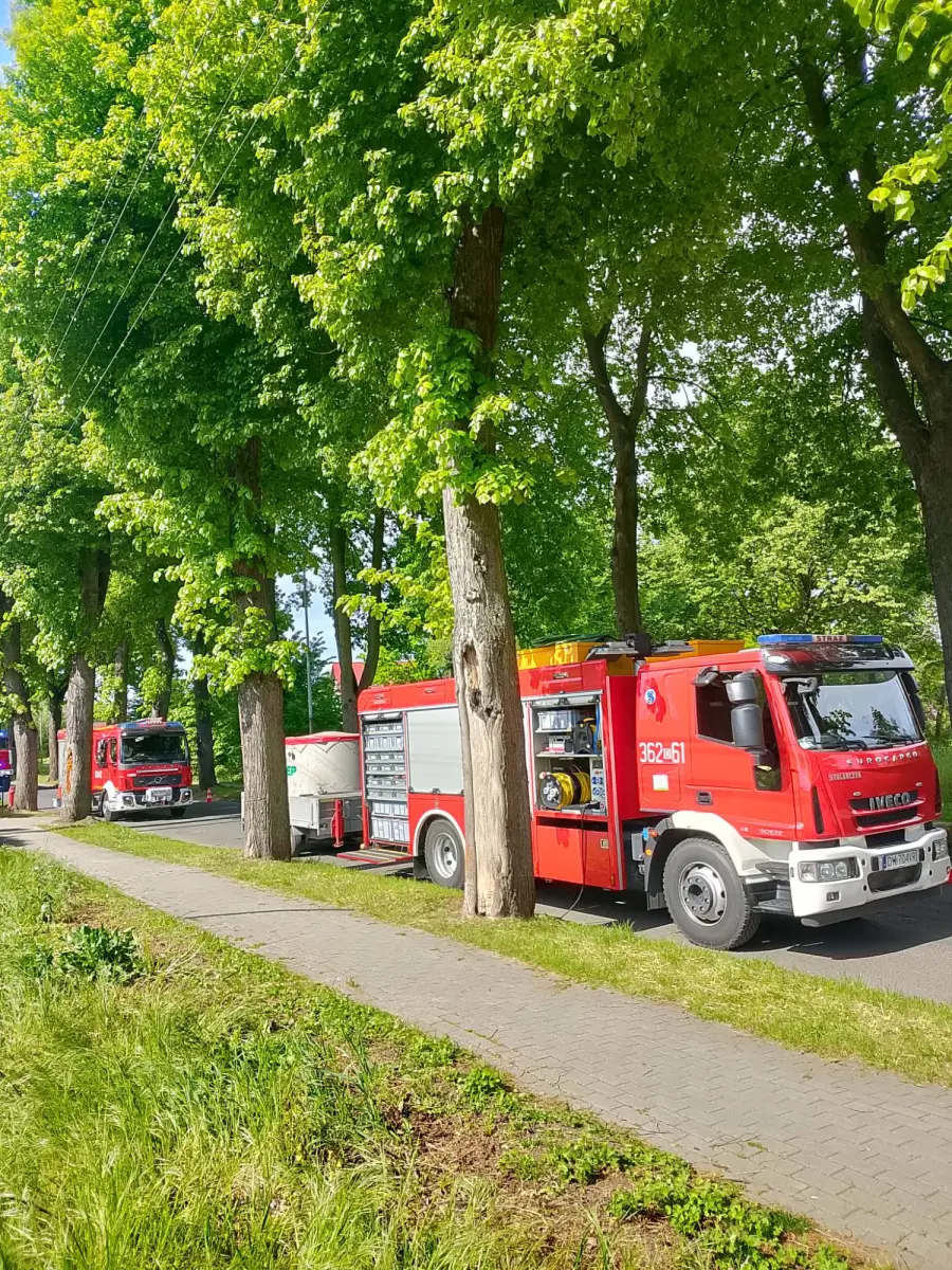 Akcja w Nowogrodźcu