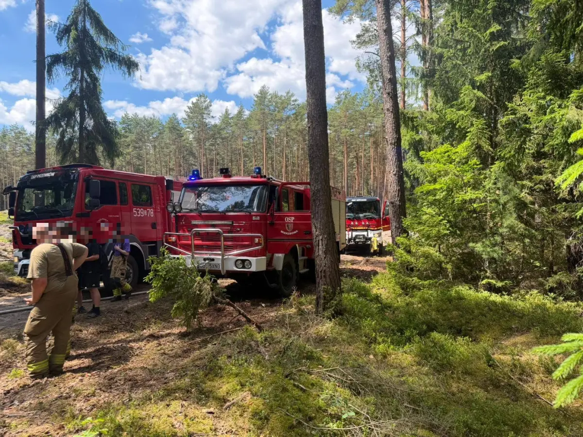 Dangerous incident in the middle of the forest. A forestry machine caught fire -- harvester