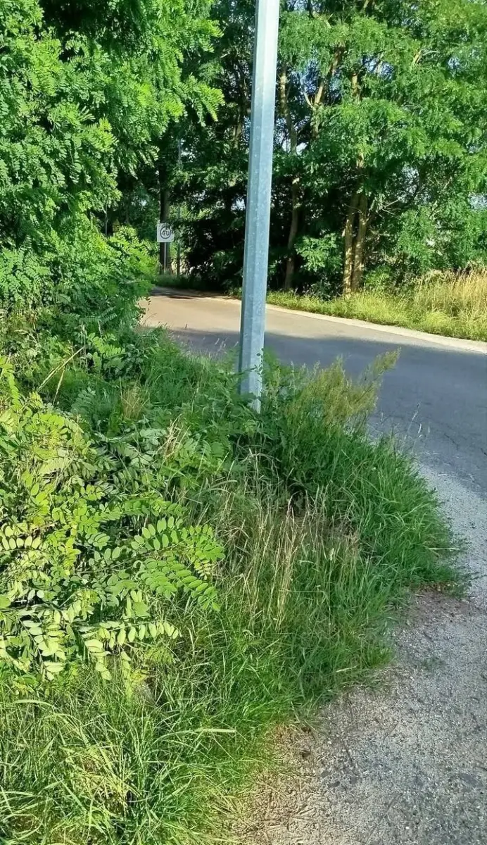 Ulica Jagodowa w Bolesławcu