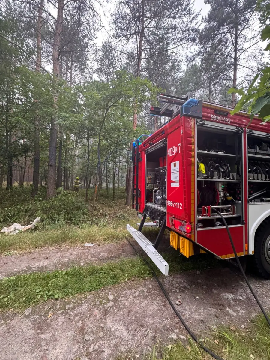 Pożar lasu pod Bolesławcem