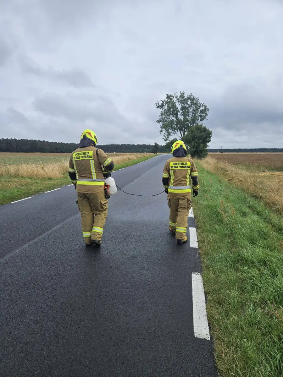 Akcja służb w powiecie bolesławieckim