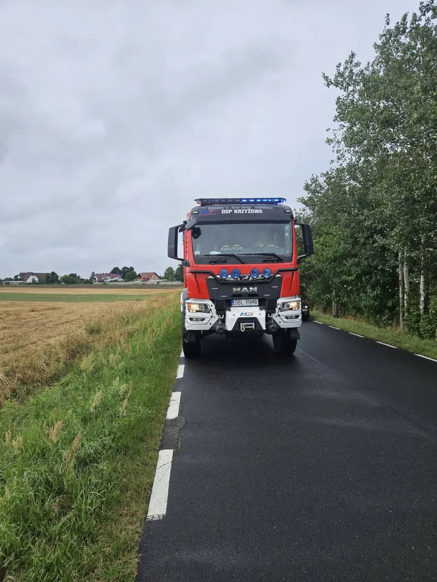 Akcja służb w powiecie bolesławieckim