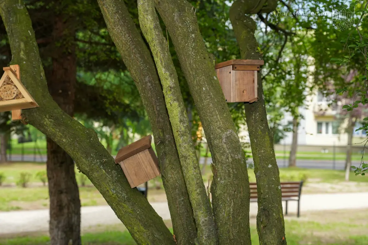 Odnowiony park w Bolesławcu