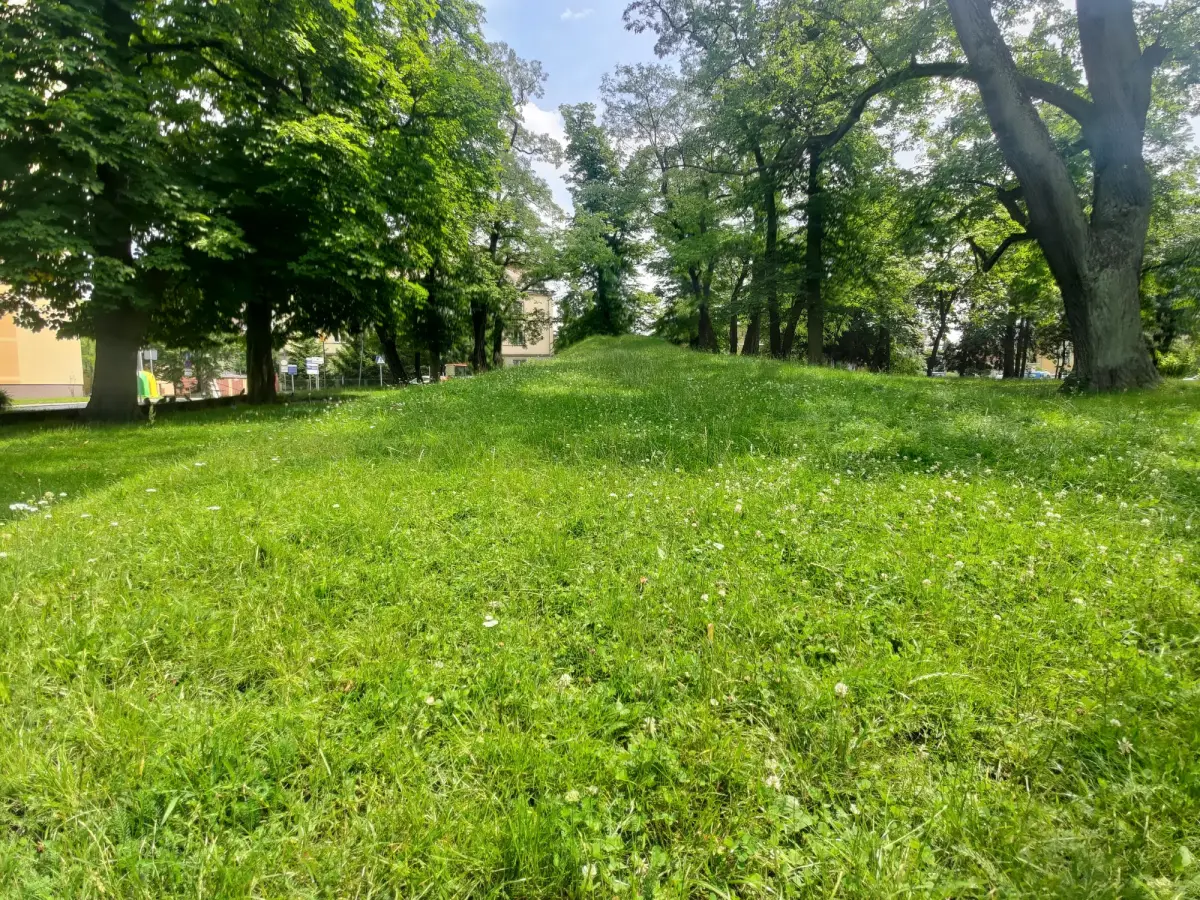Górka w parku Bonina w Bolesławcu
