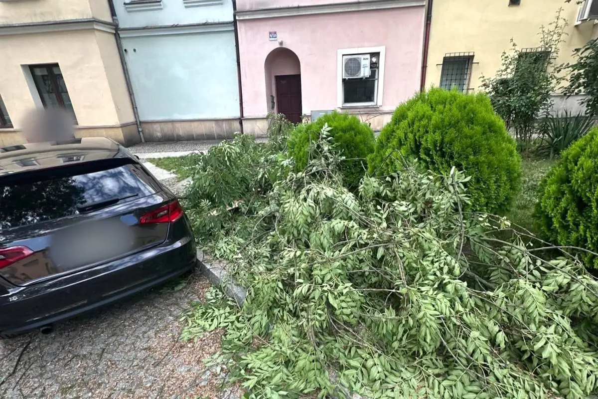 Wiatrołomy w Rynku