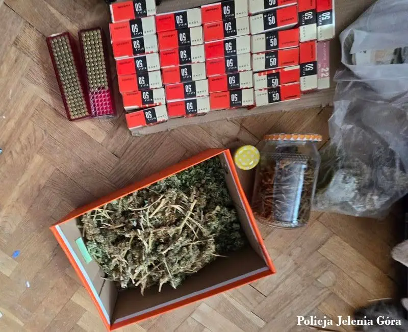 Firearms and drugs