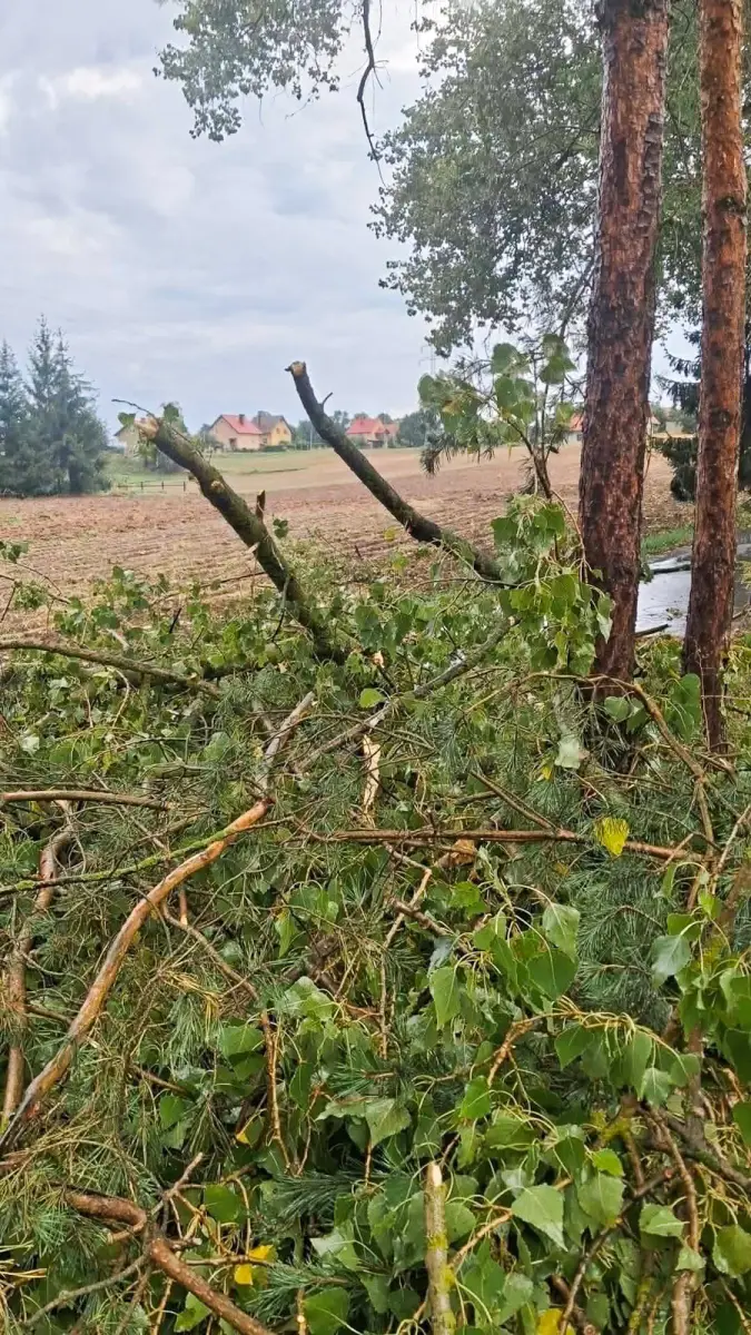 Втручання, пов’язані з бурею