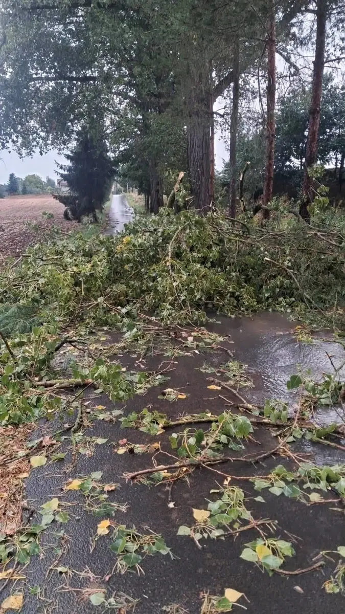 Interwencje związane z burzą