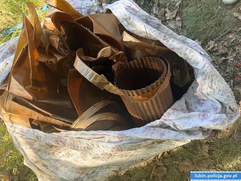 Підозрюваний і здобич