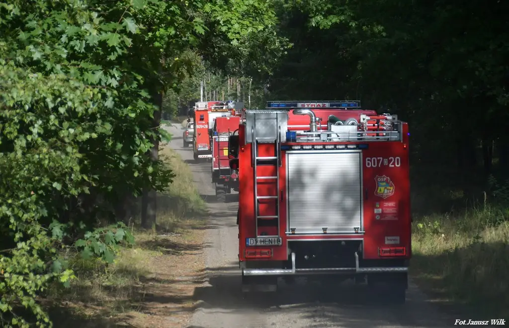 Wielkie ćwiczenia służb w Borach Dolnośląskich