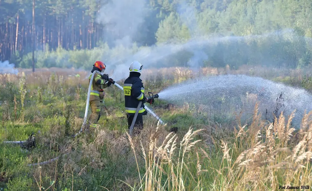 Wielkie ćwiczenia służb w Borach Dolnośląskich