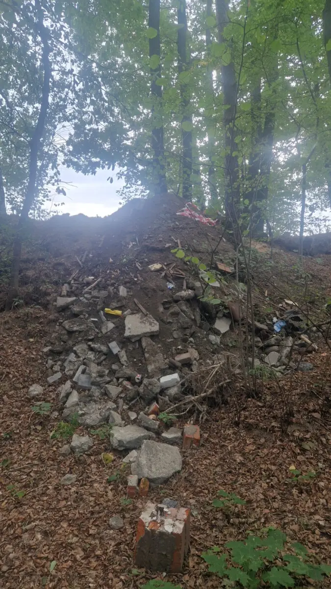 Śmieci na terenach leśnych w Żeliszowie