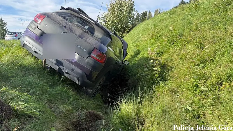 Автомобіль після зіткнення через комаху