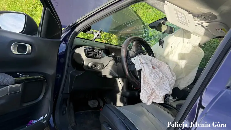 Автомобіль після зіткнення через комаху