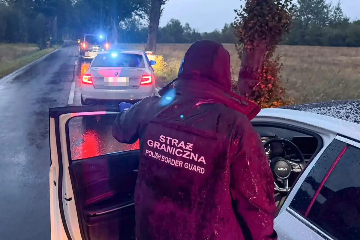 Cars recovered by officers
